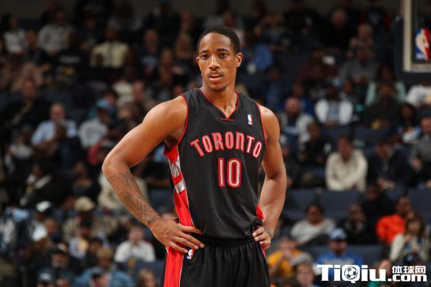 球智慧和马 球智慧和马