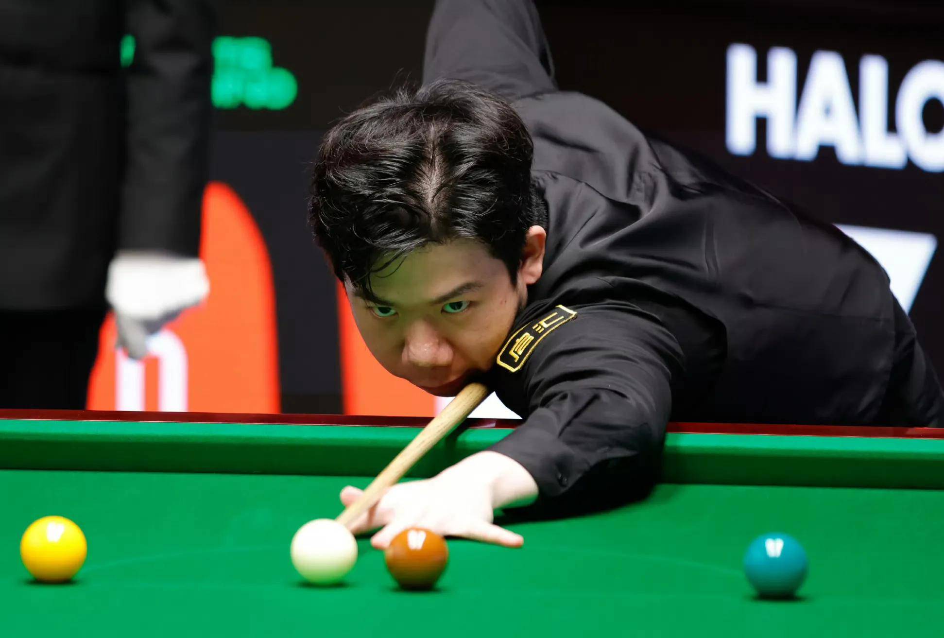 艺和饱满的 艺和饱满的